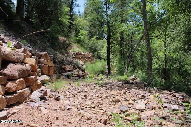 5175 N Bear Flat Rd Unit 141B, Payson, AZ 85541