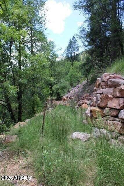 5175 N Bear Flat Rd Unit 141B, Payson, AZ 85541