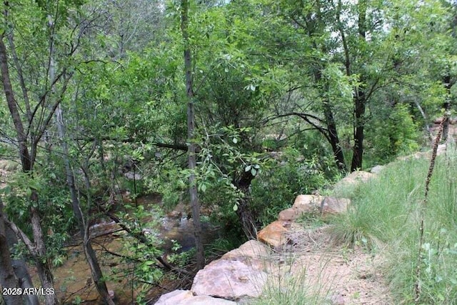 5175 N Bear Flat Rd Unit 141B, Payson, AZ 85541