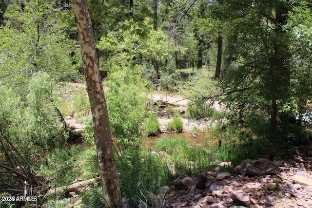 5175 N Bear Flat Rd Unit 141B, Payson, AZ 85541