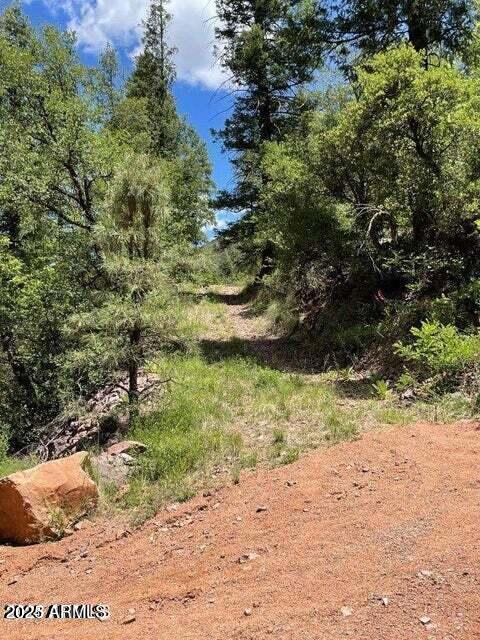 5175 N Bear Flat Rd Unit 141B, Payson, AZ 85541