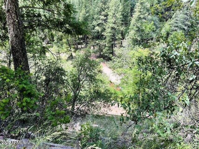 5175 N Bear Flat Rd Unit 141B, Payson, AZ 85541