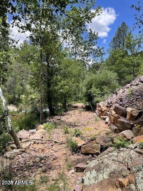 5175 N Bear Flat Rd Unit 141B, Payson, AZ 85541