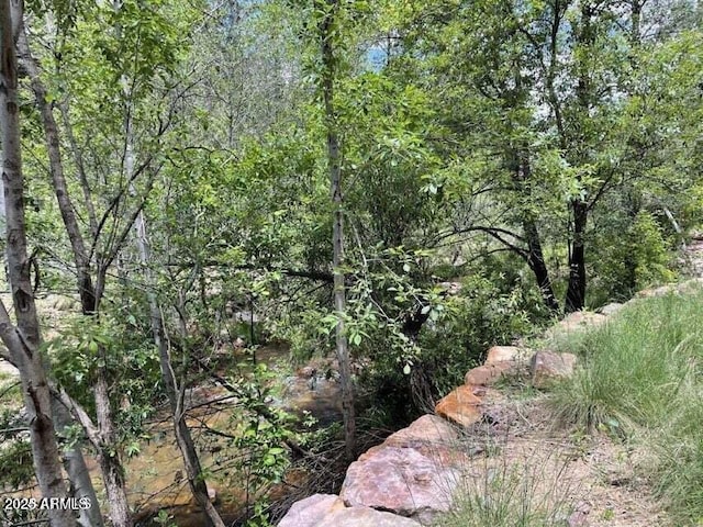 5175 N Bear Flat Rd Unit 141B, Payson, AZ 85541