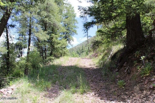 5175 N Bear Flat Rd Unit 141B, Payson, AZ 85541
