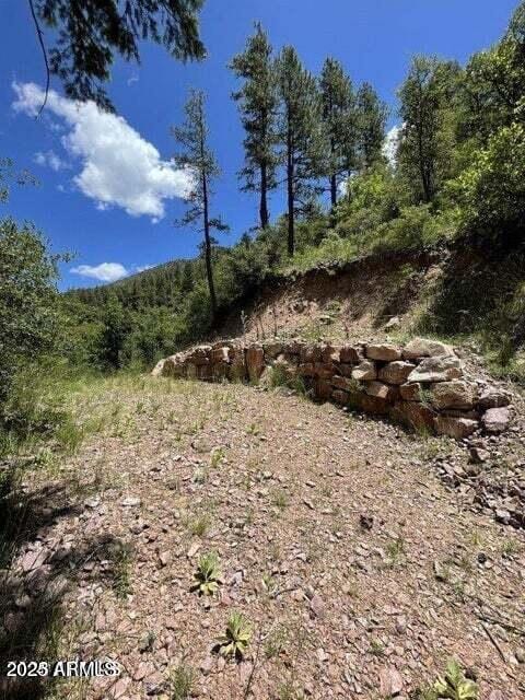5175 N Bear Flat Rd Unit 141B, Payson, AZ 85541