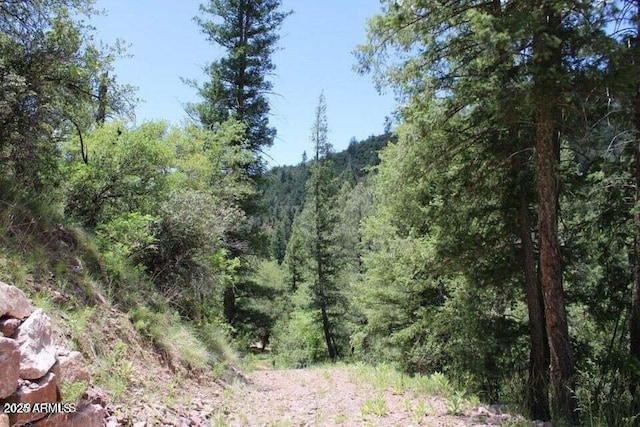 5175 N Bear Flat Rd Unit 141B, Payson, AZ 85541