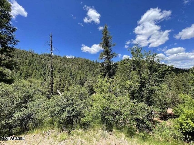 5175 N Bear Flat Rd Unit 141B, Payson, AZ 85541