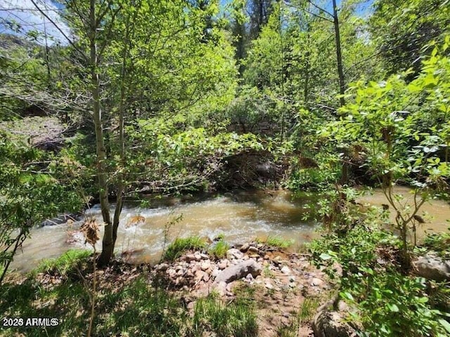 5175 N Bear Flat Rd Unit 141B, Payson, AZ 85541