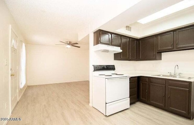 kitchen with dark brown cabinetry, white electric range oven, light wood-type flooring, under cabinet range hood, and a sink