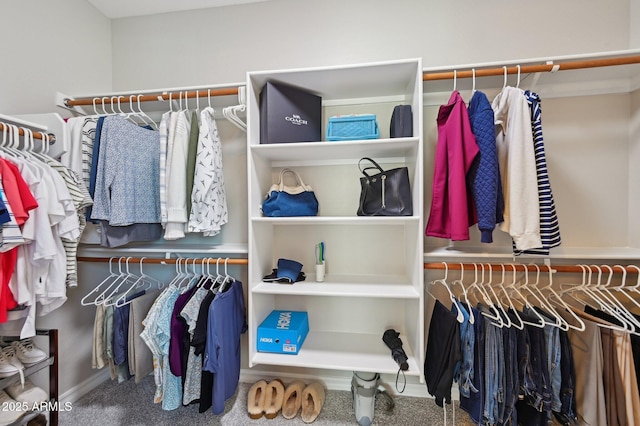 walk in closet with carpet floors