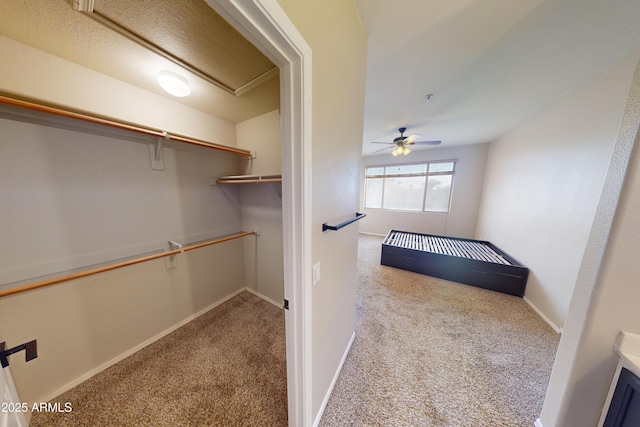 spacious closet with ceiling fan and light carpet