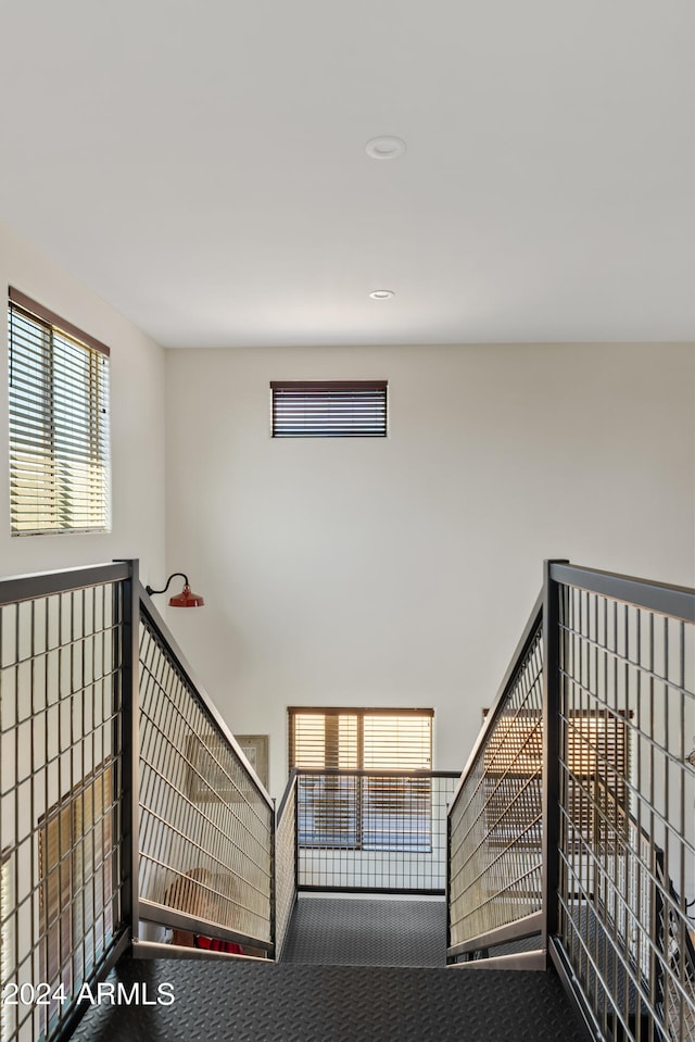 stairway featuring plenty of natural light and carpet