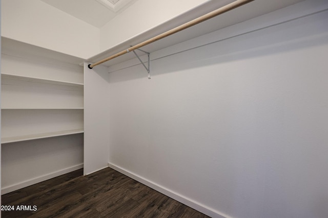 spacious closet featuring dark wood-type flooring