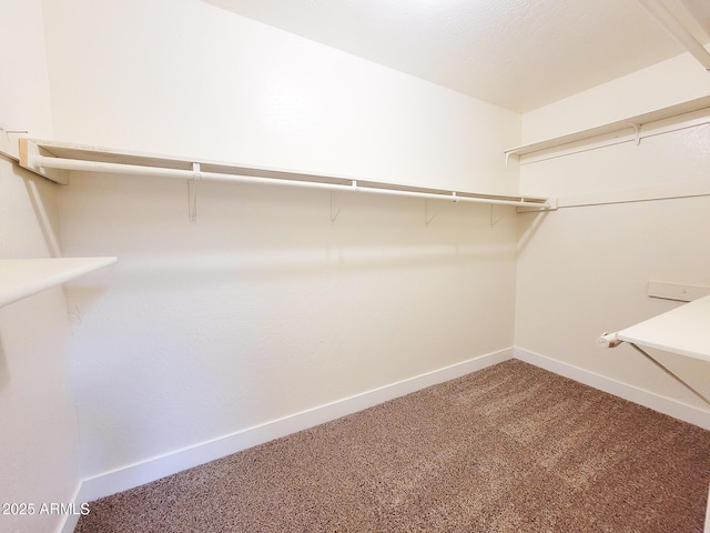 walk in closet featuring carpet floors