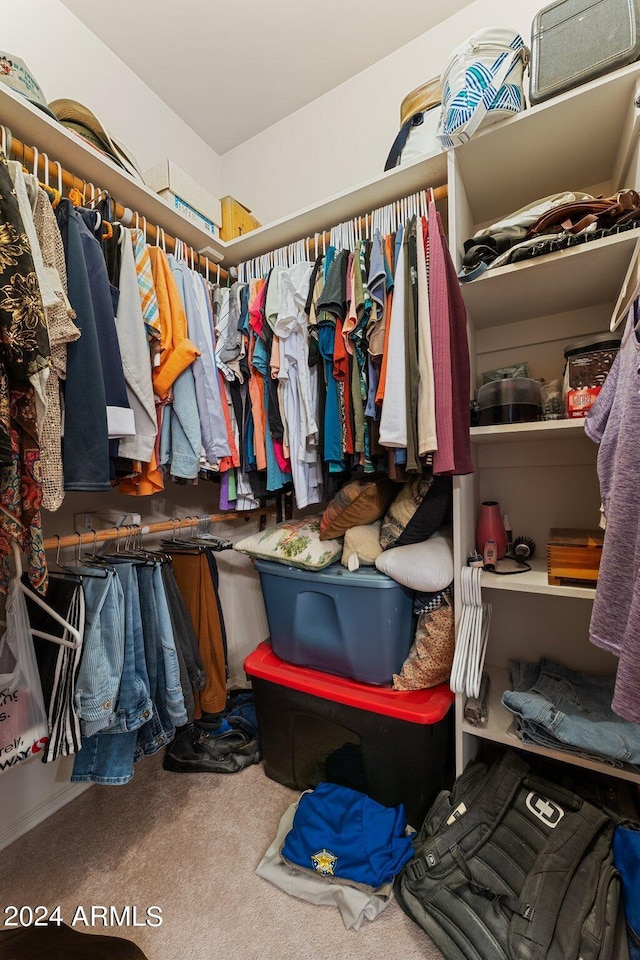 spacious closet featuring carpet