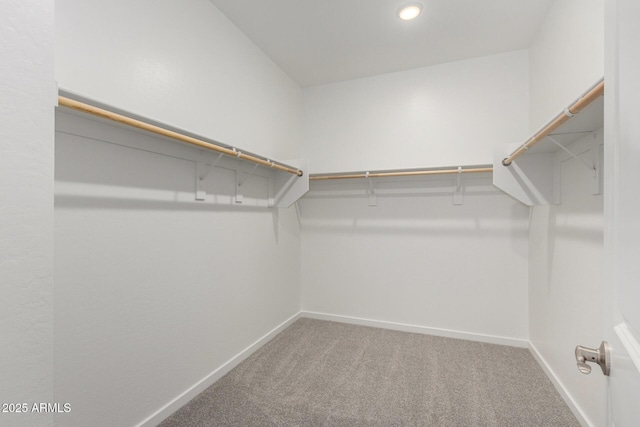 spacious closet featuring carpet