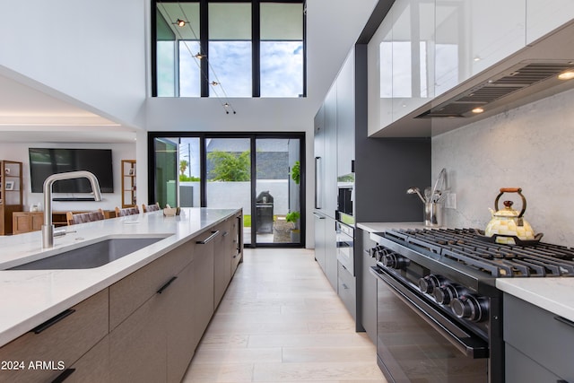 kitchen with a sink, decorative backsplash, black range with gas cooktop, exhaust hood, and modern cabinets