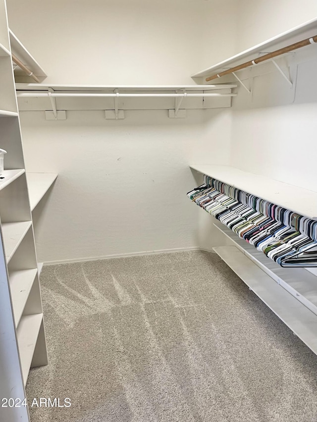 walk in closet with carpet floors