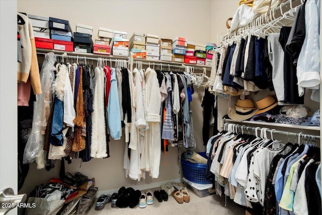 walk in closet with carpet