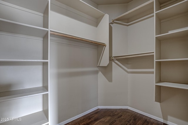 spacious closet with dark hardwood / wood-style flooring