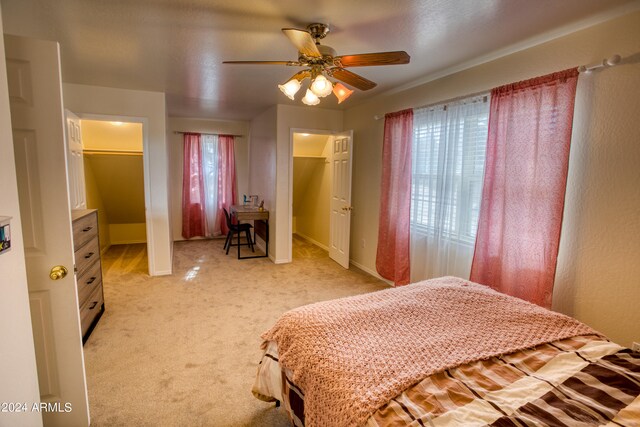 carpeted bedroom with ceiling fan, a closet, a walk in closet, and multiple windows