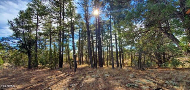 view of local wilderness