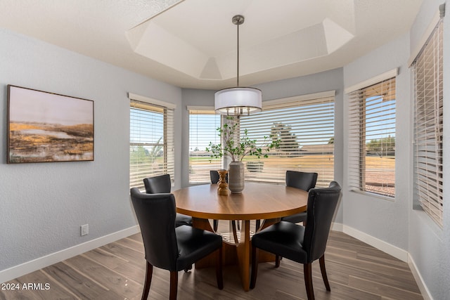 dining area featuring dark hardwood / wood-style floors and a raised ceiling