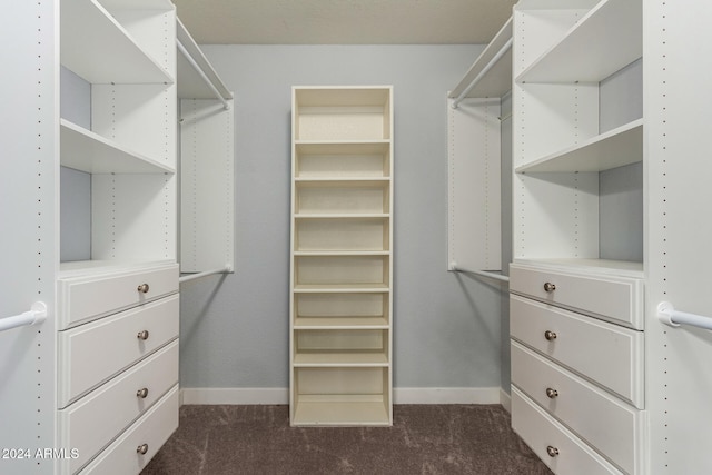 walk in closet with dark colored carpet