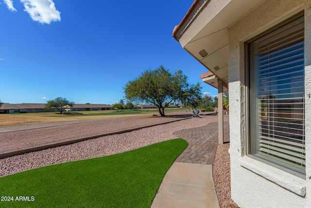 view of yard featuring a patio area