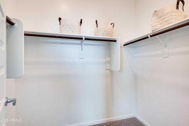 16762 W Alameda Rd, Surprise, AZ 85387 - walk in closet featuring carpet