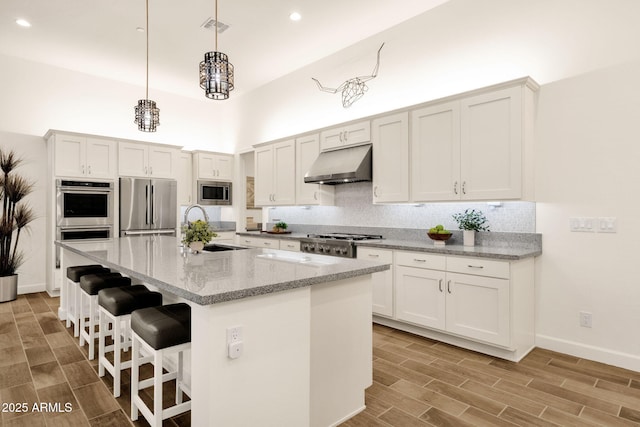 kitchen featuring under cabinet range hood, backsplash, stainless steel appliances, and a sink