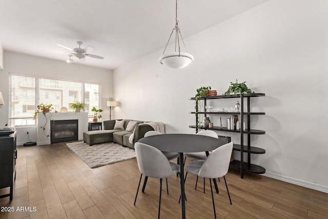 dining room with hardwood / wood-style floors and ceiling fan