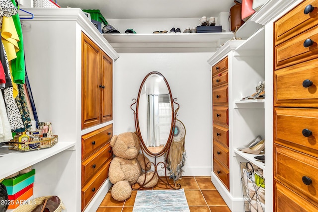 1451 E Brown Rd, Mesa, AZ 85203 - spacious closet with light tile patterned floors