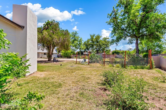 1451 E Brown Rd, Mesa, AZ 85203 - view of yard with fence