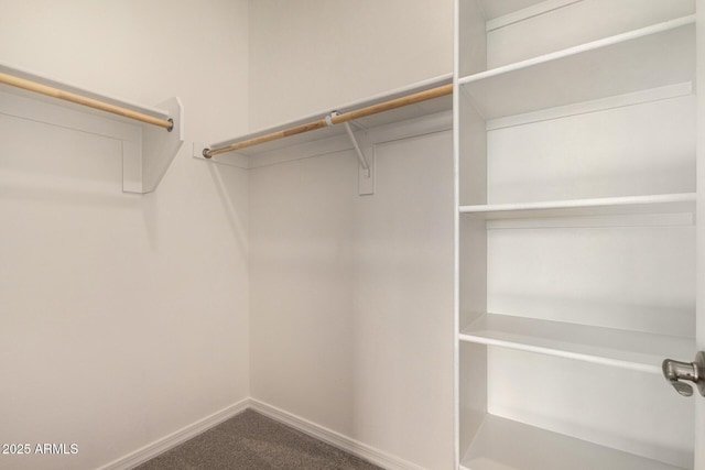 spacious closet featuring carpet floors