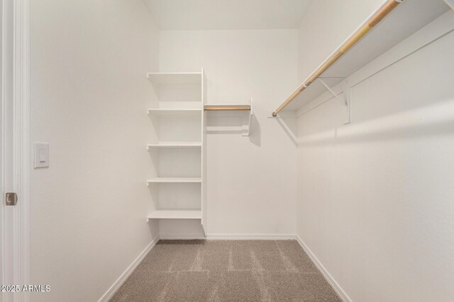 walk in closet with carpet