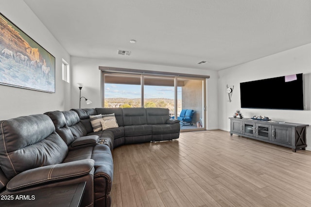 living room featuring light wood-type flooring and a healthy amount of sunlight