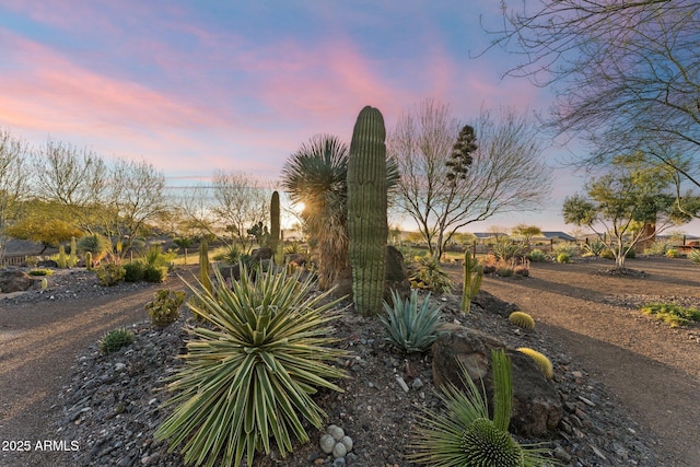 view of yard at dusk