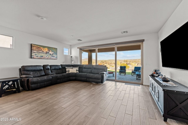 living room featuring light wood-type flooring and a wealth of natural light