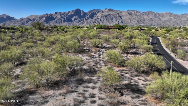 4885 N Via De La Granja, Tucson, AZ 85718 - view of mountain backdrop
