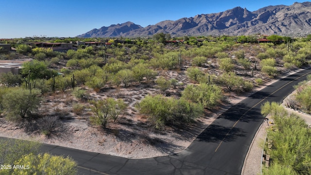 4885 N Via De La Granja, Tucson, AZ 85718 - mountain view