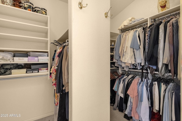 walk in closet featuring carpet
