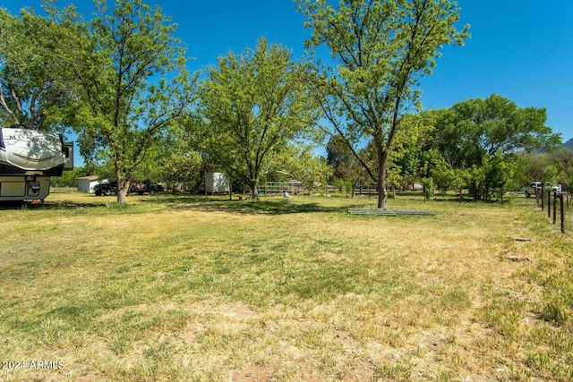 view of yard with a storage unit