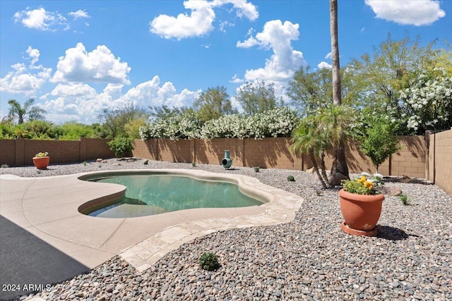 view of swimming pool