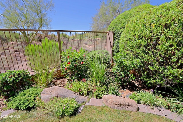 32710 N 71st St, Scottsdale, AZ 85266 - view of yard