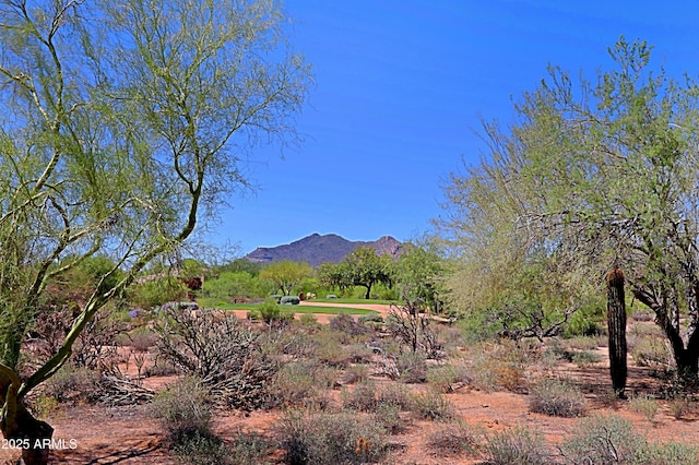 32710 N 71st St, Scottsdale, AZ 85266 - view of mountain background