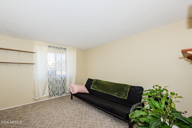 sitting room featuring light carpet and a textured ceiling