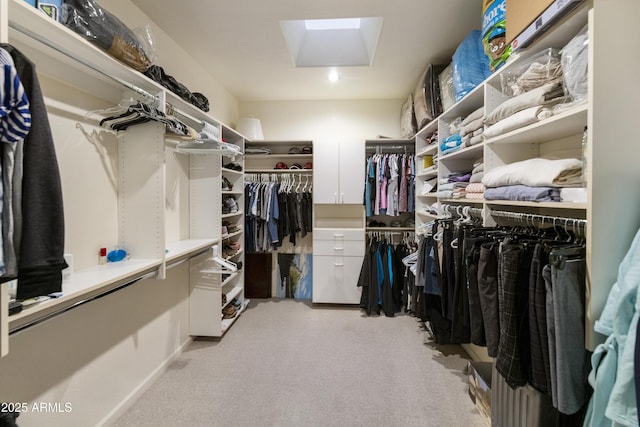 spacious closet featuring light carpet and a skylight