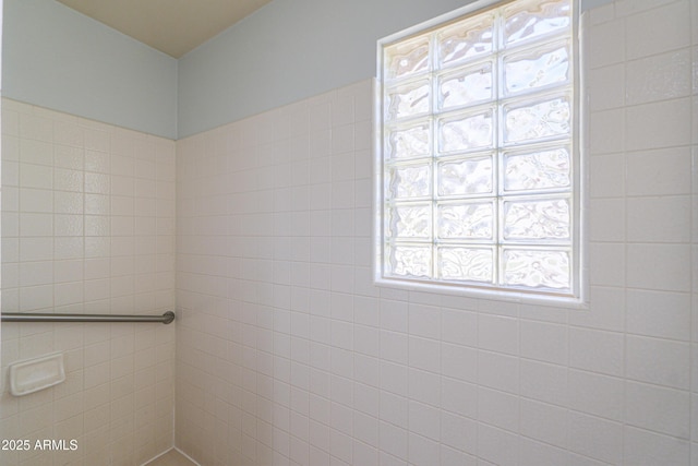18622 E Via De Arboles, Queen Creek, AZ 85142 - view of bathroom